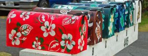 Hawaiian Style mailboxes